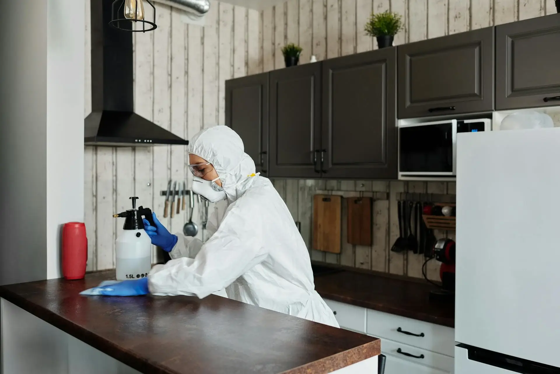 Pest & Rodent Control